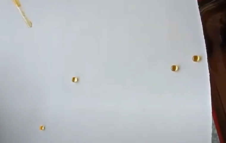 微信图片_20230410155652.png